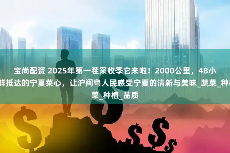 宝尚配资 2025年第一茬采收季它来啦！2000公里，48小时内新鲜抵达的宁夏菜心，让沪闽粤人民感受宁夏的清新与美味_蔬菜_种植_品质