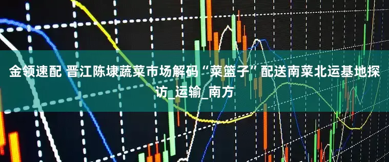 金领速配 晋江陈埭蔬菜市场解码“菜篮子”配送南菜北运基地探访_运输_南方