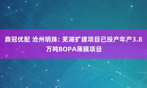鼎冠优配 沧州明珠: 芜湖扩建项目已投产年产3.8万吨BOPA薄膜项目
