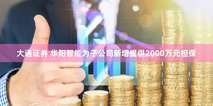 大通证券 华阳智能为子公司新增提供2000万元担保